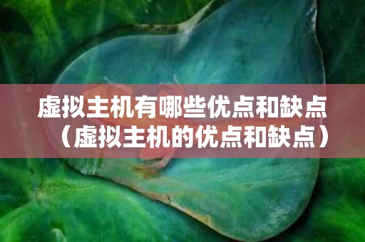 虚拟主机有哪些优点和缺点（虚拟主机的优点和缺点）