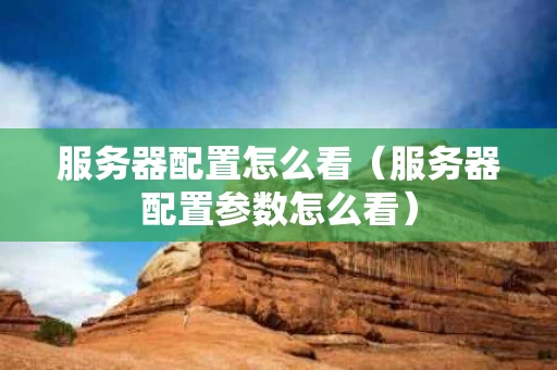 服务器配置怎么看（服务器配置参数怎么看）