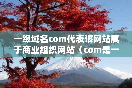 一级域名com代表该网站属于商业组织网站（com是一级域名吗）