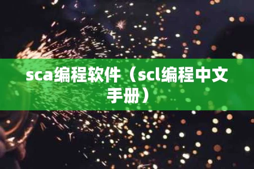 sca编程软件（scl编程中文手册）