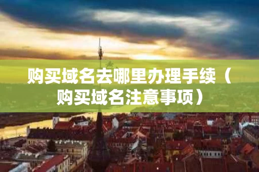 购买域名去哪里办理手续（购买域名注意事项）