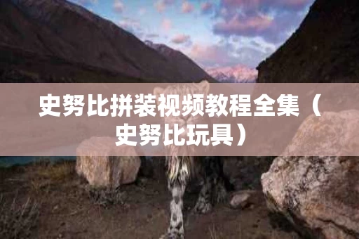 史努比拼装视频教程全集（史努比玩具）