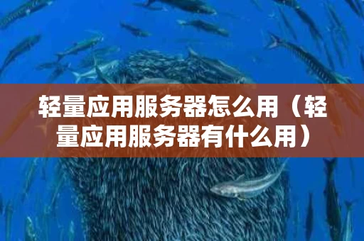 轻量应用服务器怎么用（轻量应用服务器有什么用）