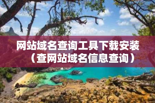 网站域名查询工具下载安装（查网站域名信息查询）