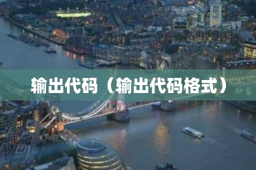 输出代码（输出代码格式）