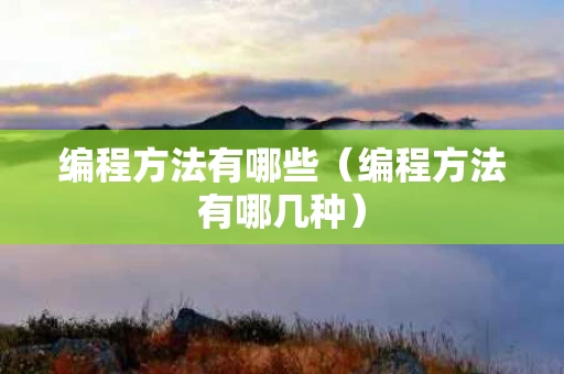 编程方法有哪些（编程方法有哪几种）