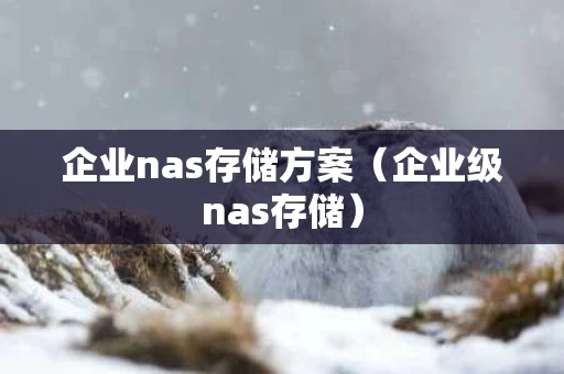 企业nas存储方案（企业级nas存储）