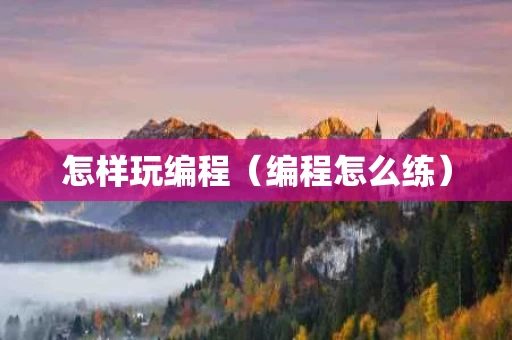 怎样玩编程（编程怎么练）