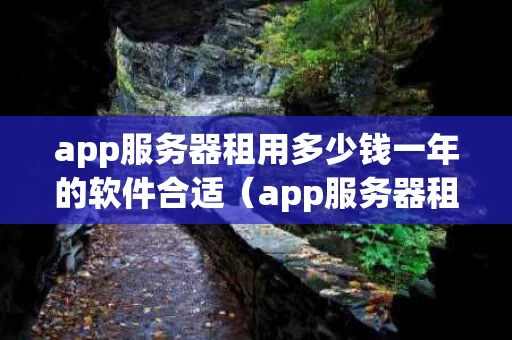 app服务器租用多少钱一年的软件合适（app服务器租赁）