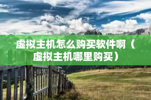 虚拟主机怎么购买软件啊（虚拟主机哪里购买）