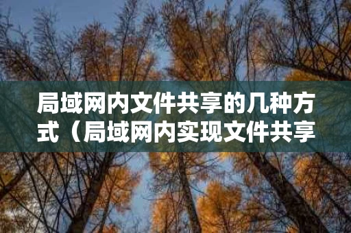 局域网内文件共享的几种方式（局域网内实现文件共享）