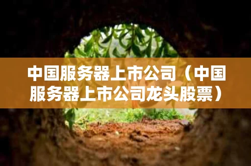 中国服务器上市公司（中国服务器上市公司龙头股票）
