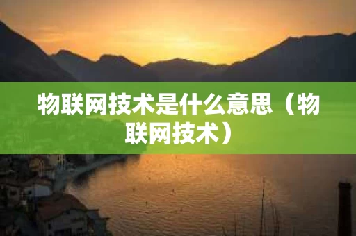 物联网技术是什么意思（物联网技术）
