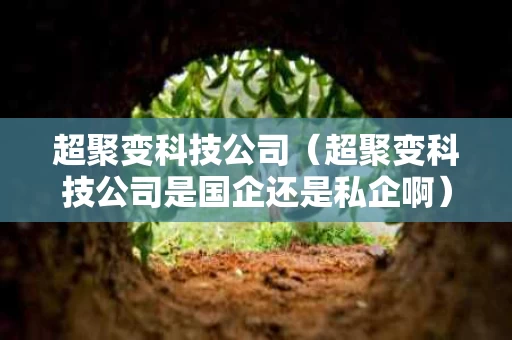 超聚变科技公司（超聚变科技公司是国企还是私企啊）