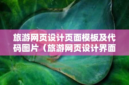 旅游网页设计页面模板及代码图片（旅游网页设计界面）