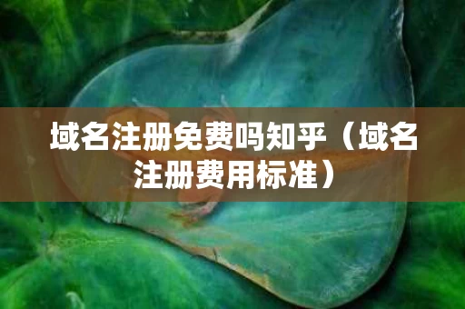 域名注册免费吗知乎（域名注册费用标准）
