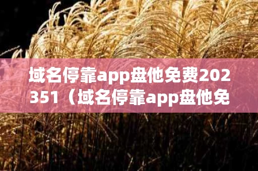 域名停靠app盘他免费202351（域名停靠app盘他免费2024最新版）