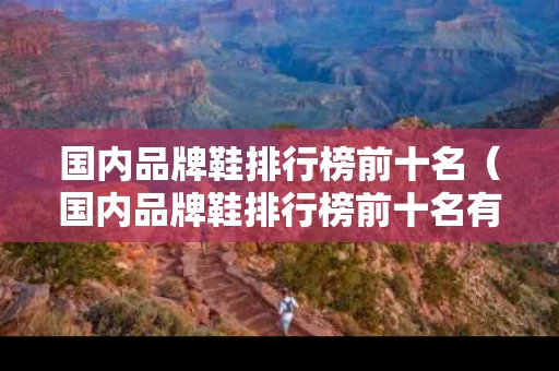 国内品牌鞋排行榜前十名（国内品牌鞋排行榜前十名有哪些）
