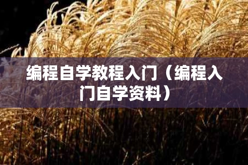 编程自学教程入门（编程入门自学资料）