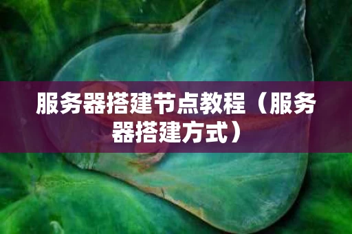 服务器搭建节点教程（服务器搭建方式）
