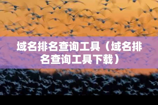 域名排名查询工具（域名排名查询工具下载）