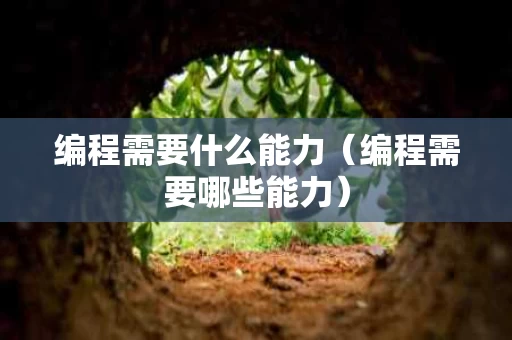 编程需要什么能力（编程需要哪些能力）