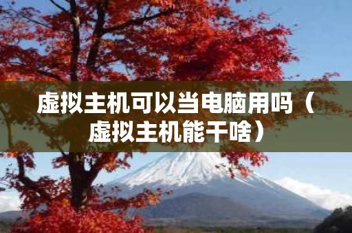 虚拟主机可以当电脑用吗（虚拟主机能干啥）