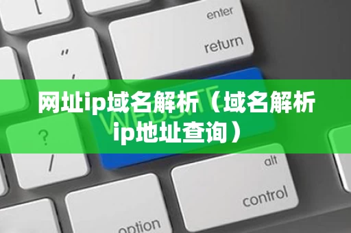 网址ip域名解析（域名解析ip地址查询）
