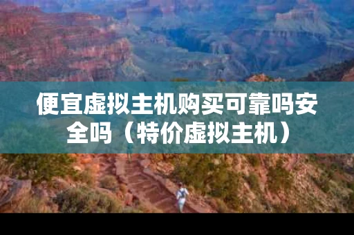便宜虚拟主机购买可靠吗安全吗（特价虚拟主机）