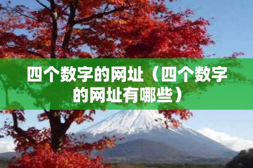 四个数字的网址（四个数字的网址有哪些）