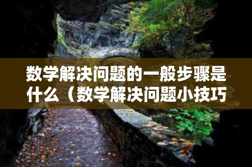 数学解决问题的一般步骤是什么（数学解决问题小技巧）