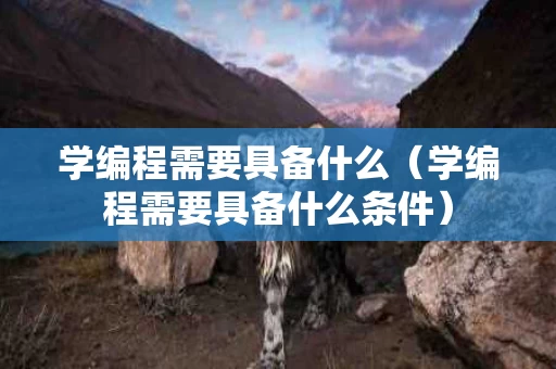 学编程需要具备什么（学编程需要具备什么条件）