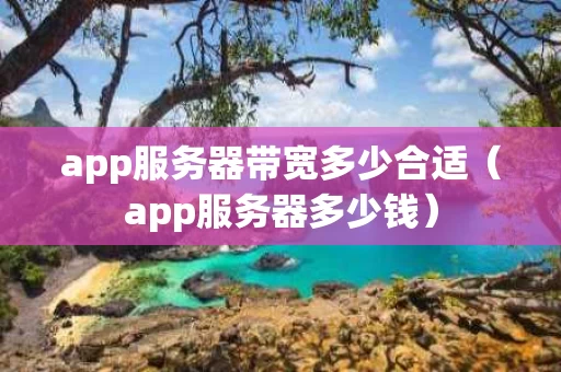 app服务器带宽多少合适（app服务器多少钱）