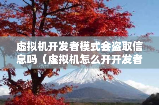 虚拟机开发者模式会盗取信息吗（虚拟机怎么开开发者模式）