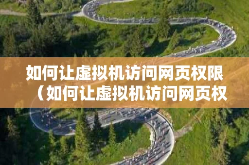 如何让虚拟机访问网页权限（如何让虚拟机访问网页权限管理）