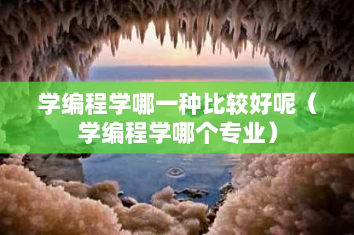 学编程学哪一种比较好呢（学编程学哪个专业）