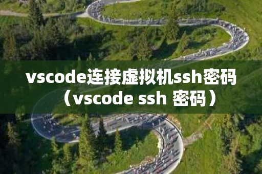 vscode连接虚拟机ssh密码（vscode ssh 密码）