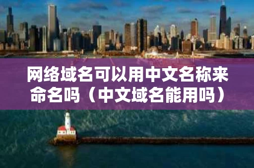 网络域名可以用中文名称来命名吗（中文域名能用吗）