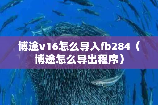 博途v16怎么导入fb284（博途怎么导出程序）
