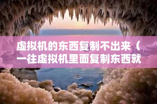 虚拟机的东西复制不出来（一往虚拟机里面复制东西就崩溃）