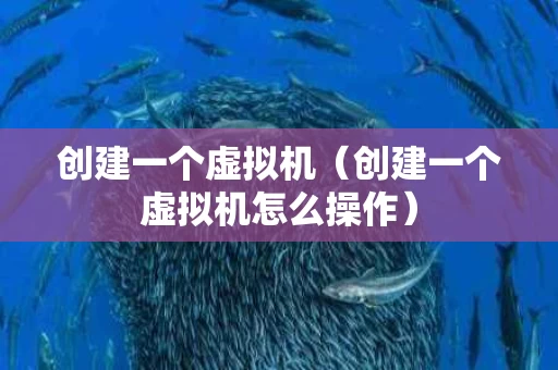 创建一个虚拟机（创建一个虚拟机怎么操作）
