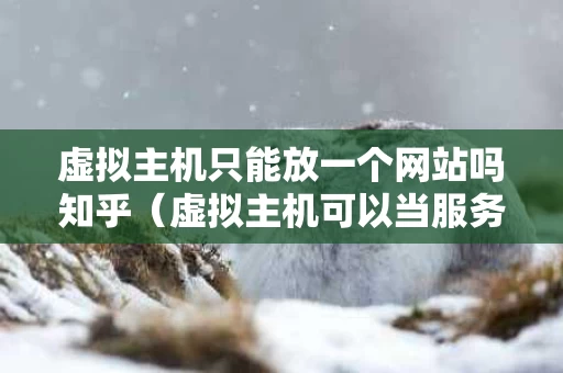虚拟主机只能放一个网站吗知乎（虚拟主机可以当服务器吗）