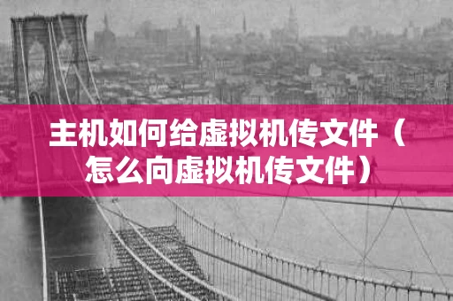 主机如何给虚拟机传文件（怎么向虚拟机传文件）