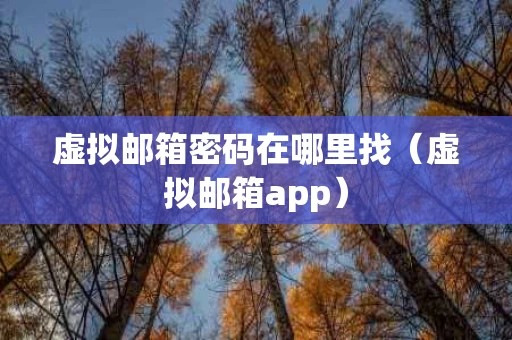 虚拟邮箱密码在哪里找（虚拟邮箱app）