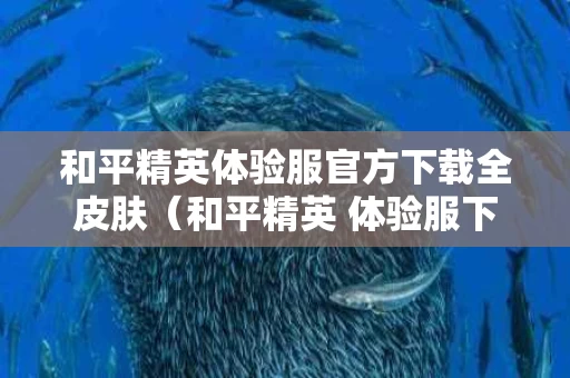 和平精英体验服官方下载全皮肤（和平精英 体验服下载）