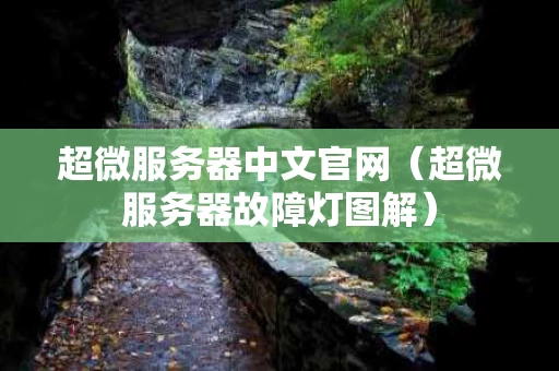 超微服务器中文官网（超微服务器故障灯图解）