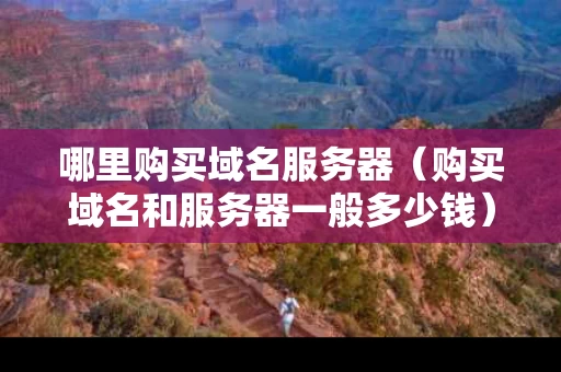 哪里购买域名服务器（购买域名和服务器一般多少钱）
