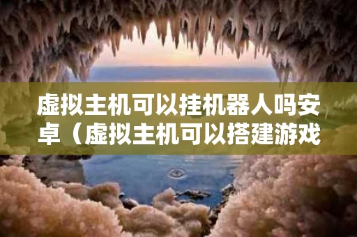 虚拟主机可以挂机器人吗安卓（虚拟主机可以搭建游戏吗）