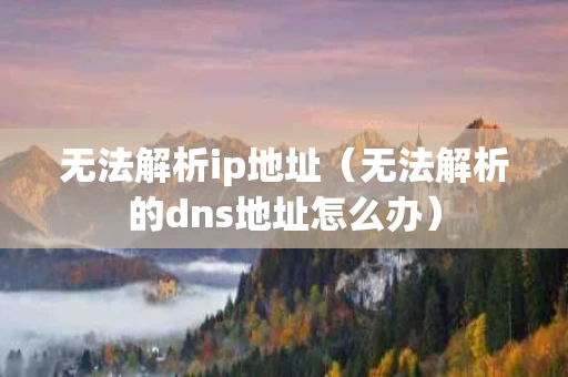 无法解析ip地址（无法解析的dns地址怎么办）