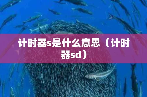 计时器s是什么意思（计时器sd）